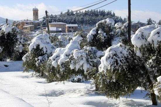 ⏯️ Pobles de les Garrigues acceleren la retirada de neu per evitar la formació de gel