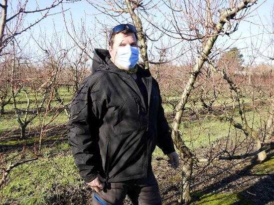 ⏯️ Les nevades del temporal Filomena ajudaran a millorar la producció de cereals i fruiters