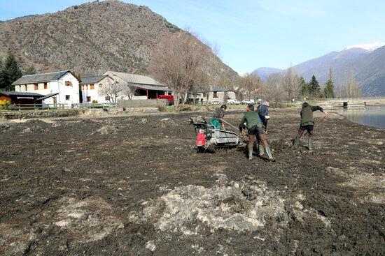 ⏯️ Una dècada lluitant contra una planta aquàtica invasora a l'embassament de la Torrassa