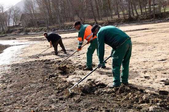 ⏯️ Una dècada lluitant contra una planta aquàtica invasora a l'embassament de la Torrassa