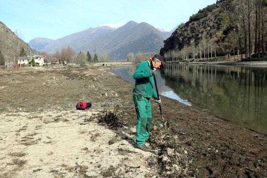 ⏯️ Una dècada lluitant contra una planta aquàtica invasora a l'embassament de la Torrassa