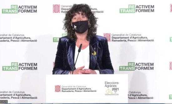 Habilitats 209 punts d'assistència per a les eleccions agràries en format electrònic
