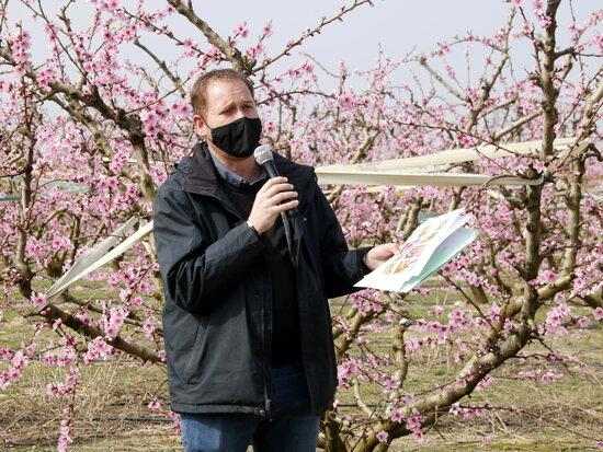 ⏯️ L'atracció de la floració a Alcarràs, amb una ruta guiada adaptada a la covid-19