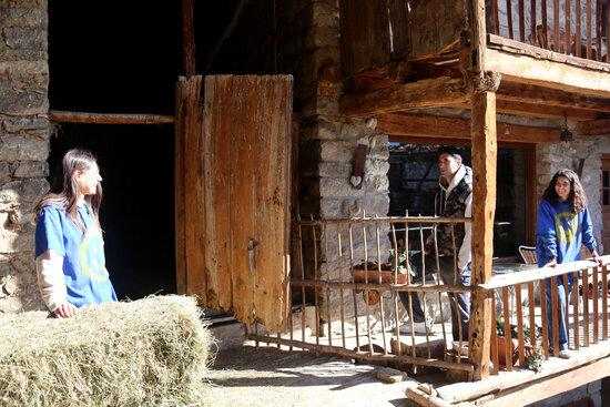 ⏯️ Una jove de la Seu rehabilita una casa del segle XIX per convertir-la en allotjament i taller d'artistes