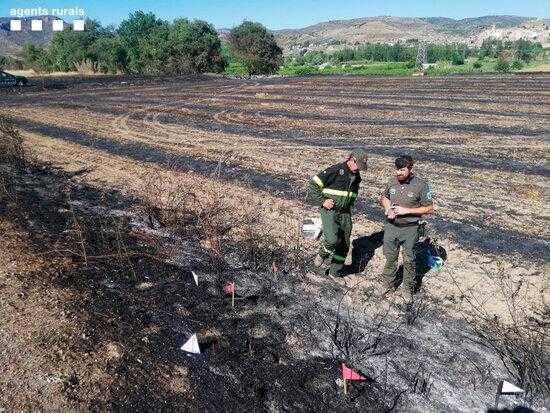 Una burilla de cigarreta és la causant de l'incendi d'Alfarràs
