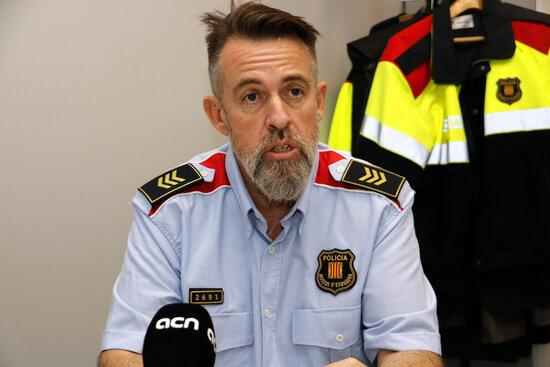 ⏯️ Els Mossos alerten d'un augment "exponencial" de plantacions de marihuana a Ponent