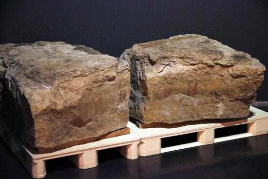 El Museu de Lleida mostra per primera vegada fragments de pintures rupestres de Terol