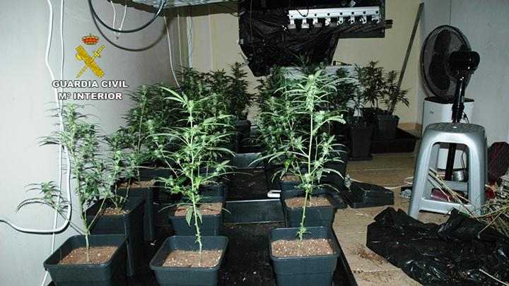 Desarticulats dos grups criminals de tràfic de drogues a diversos municipis de Lleida