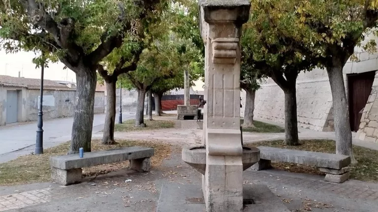 El PP de Bellpuig demana actuacions de millora al Castell