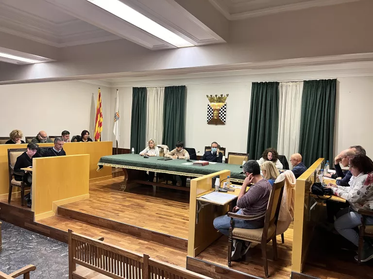 Aprovat el crèdit de dos milions per arreglar carrers a Mollerussa