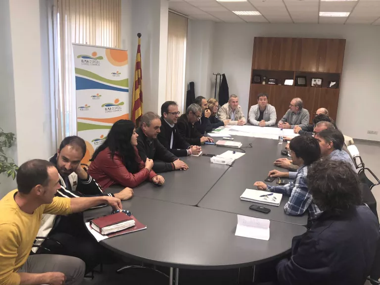 El Consell del Pla ofereix suport als ajuntaments per tenir la setmana vinent una valoració de danys