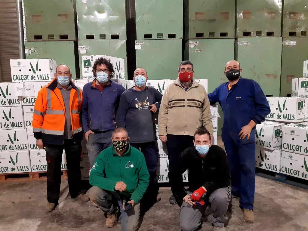 Calçots de Valls per a les residències de Lleida i Tarragona