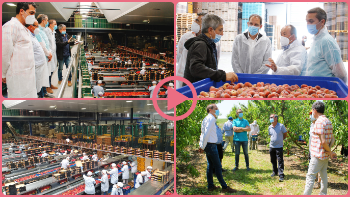 ⏯️ El Govern destaca l'esforç del sector agrari per l'excel·lència