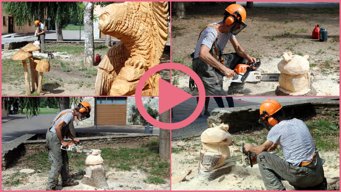 ⏯️ Esterri d'Àneu dissenya un circuit de 25 escultures de fusta de flora i fauna del Pirineu