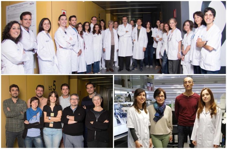 Tres equips en la recerca del càncer de l’IRBLleida reben finançament de La Marató 2018