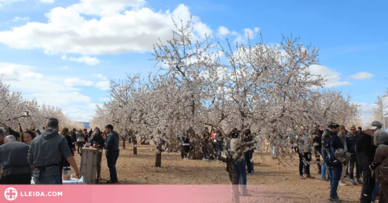 Comença la temporada de floració a les Garrigues