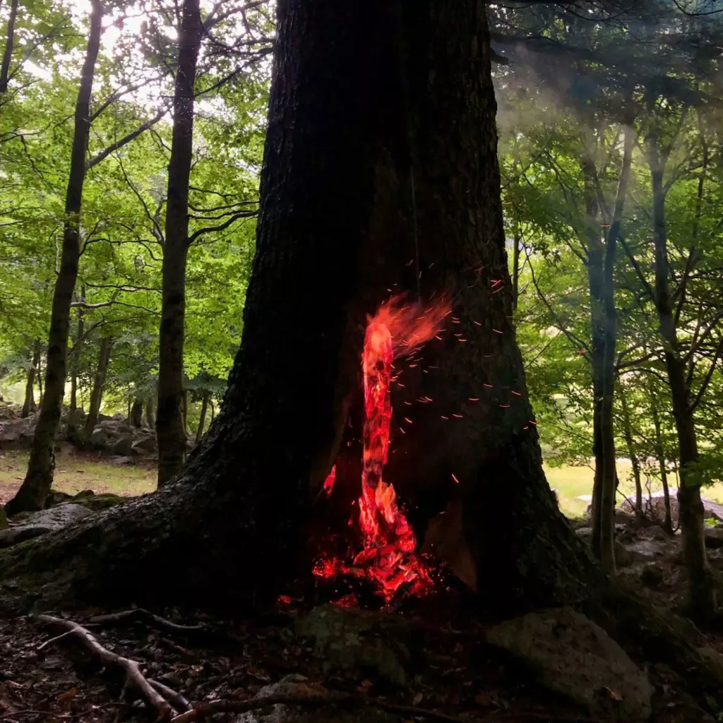 Extingit l'incendi forestal ocasionat per un llampec a la Vall d'Aran