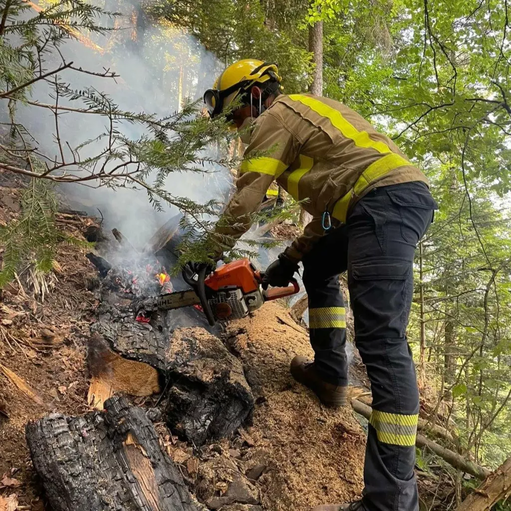 Extingit l'incendi forestal ocasionat per un llampec a la Vall d'Aran