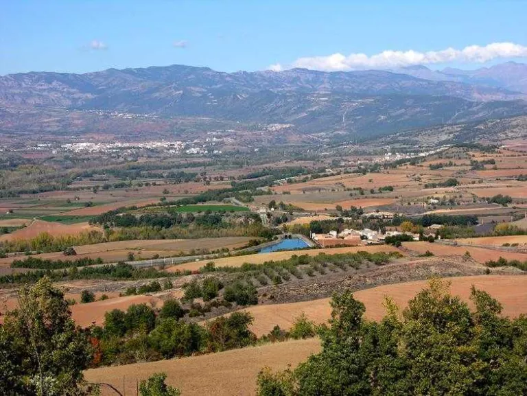 Denuncien perill d’incendi a Gavet després d’apilar-se cent tones de fusta