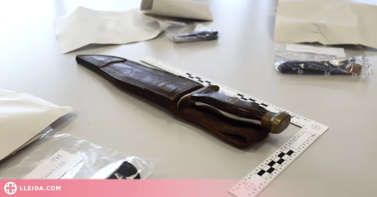 L'Alta Ribagorça entre les comarques amb la ràtio més alta d'actuacions policials per delictes amb arma blanca