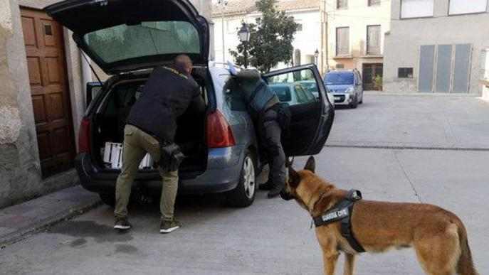 Almenys nou detinguts a la demarcació de Lleida en una operació contra el tràfic de drogues a diversos punts de l'Estat