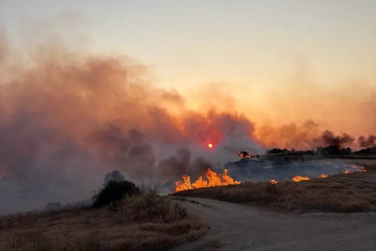 Els Bombers treballen en un incendi de vegetació forestal a Guimerà amb 12 dotacions terrestres