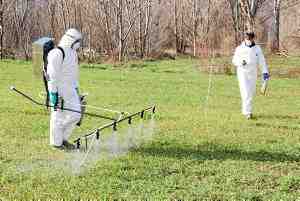La UdL valida un sistema que permet reduir l'ús d'herbicides en un 30% mantenint-ne l'eficàcia
