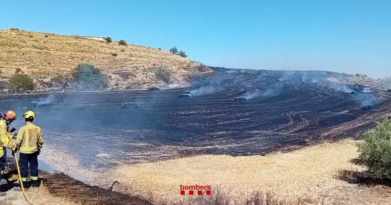 Els Bombers treballen en un foc de vegetació agrícola a Alguaire