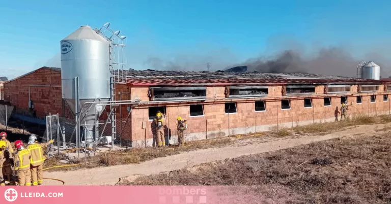 Controlat un incendi que ha cremat una granja de truges a Sant Martí de Maldà