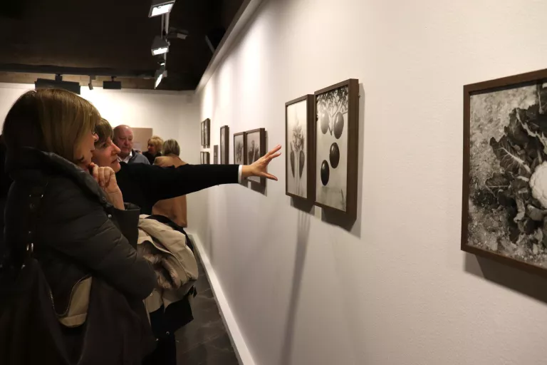 ‘Botànica sensible’ revela a Lleida l’univers fotogràfic del pagès de Seròs, Antonio Ibars, als anys 40 i 50
