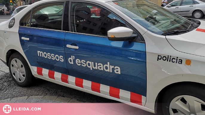 Vuit detinguts i més de 1.400 plantes de marihuana intervingudes en quatre cases de Castellserà i Bellmunt