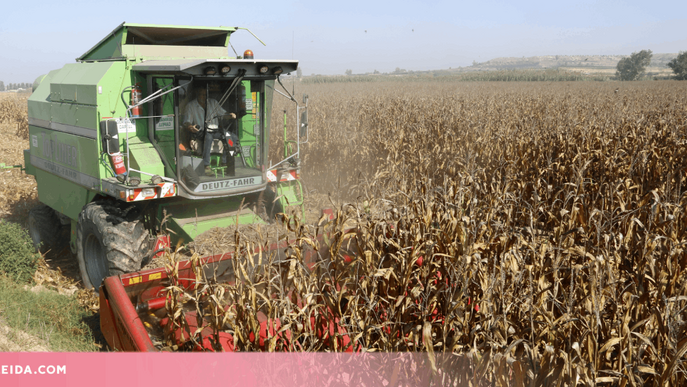 La contractació d'assegurances agràries creix un 16% el 2023 a l'Estat i supera per primer cop els 1.000 MEUR