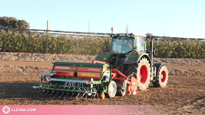 Les indemnitzacions de l'assegurança agrària a Catalunya pugen fins als 110 MEUR durant el 2023