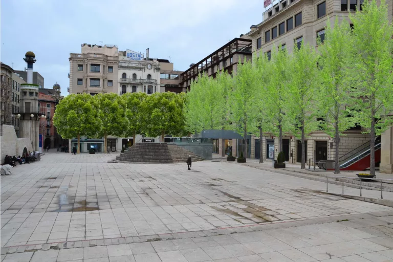La Paeria plantarà 22 arbres a la plaça Sant Joan de Lleida