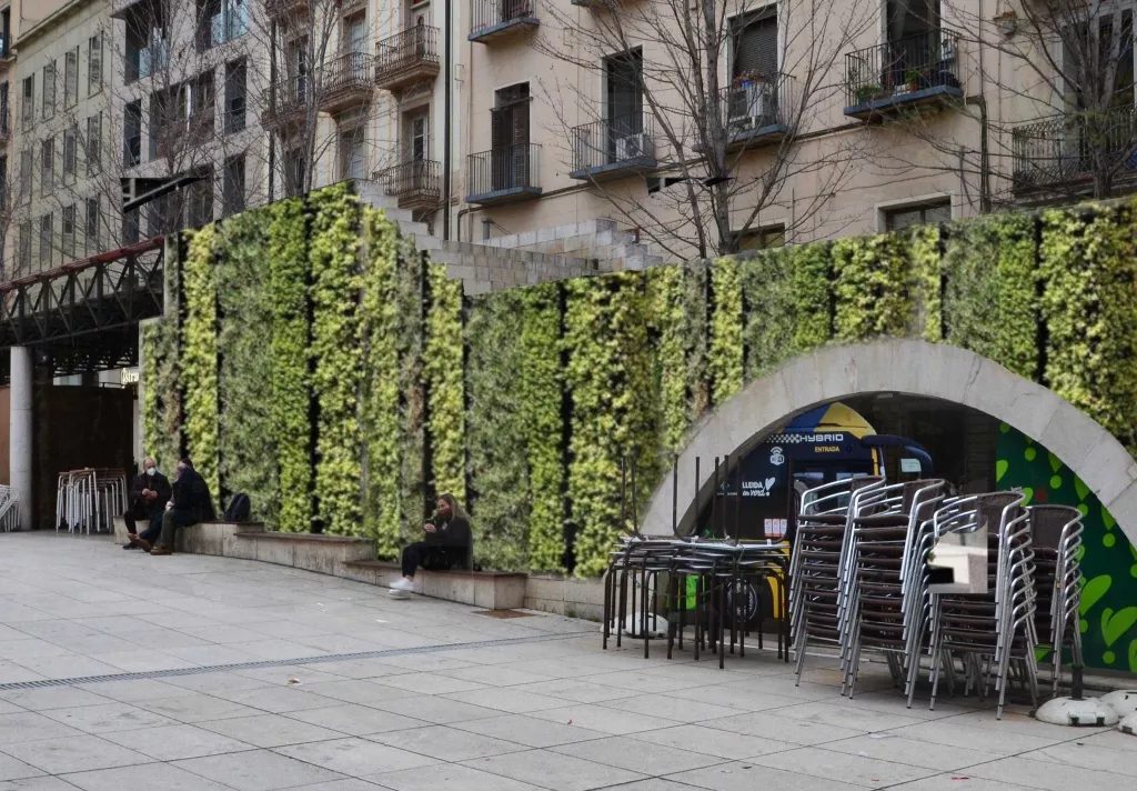 La Paeria plantarà 22 arbres a la plaça Sant Joan de Lleida