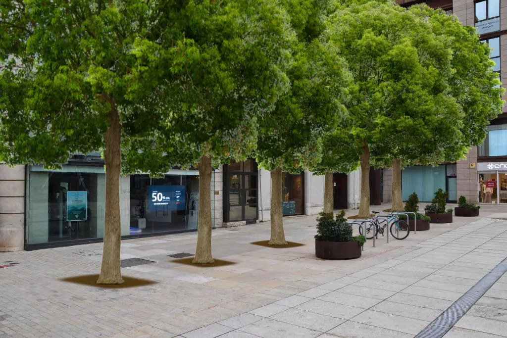 La Paeria plantarà 22 arbres a la plaça Sant Joan de Lleida