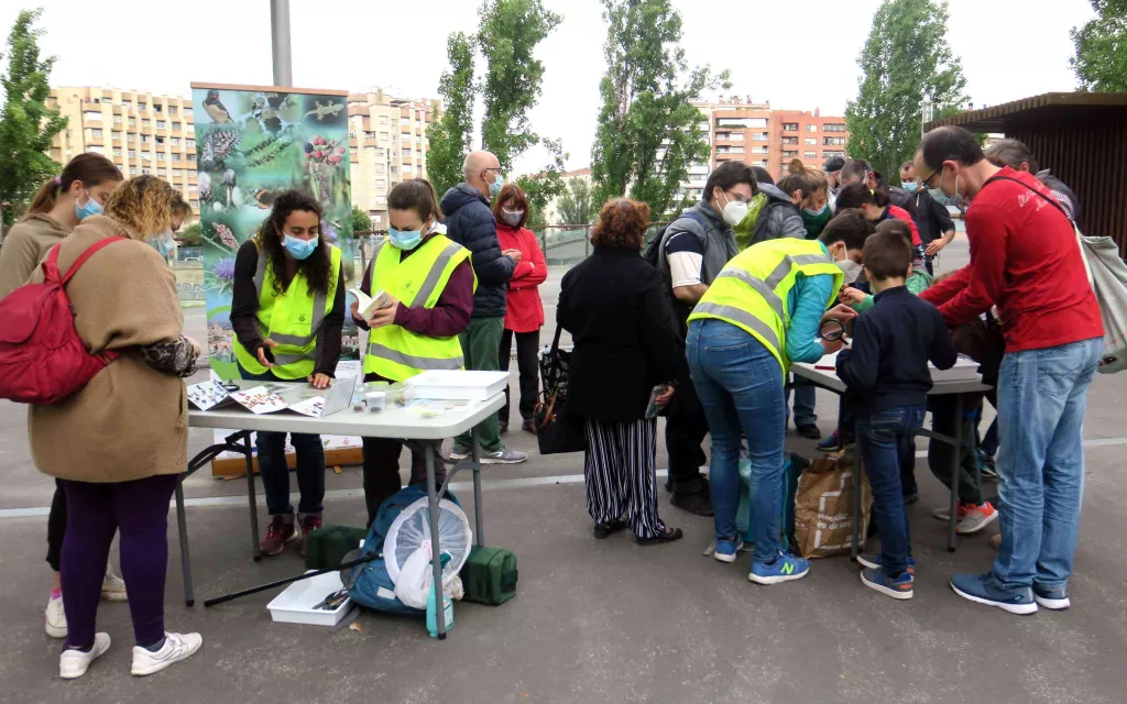Punt d’observació de la biodiversitat urbana per a identificar papallones i insectes