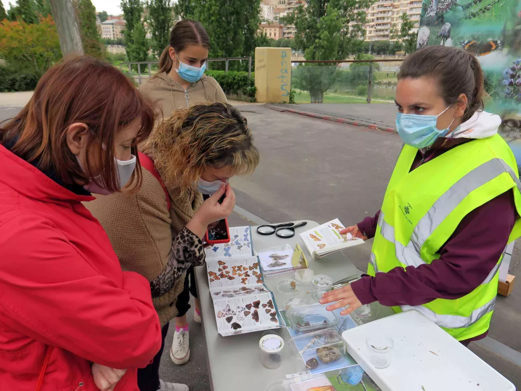 Punt d’observació de la biodiversitat urbana per a identificar papallones i insectes