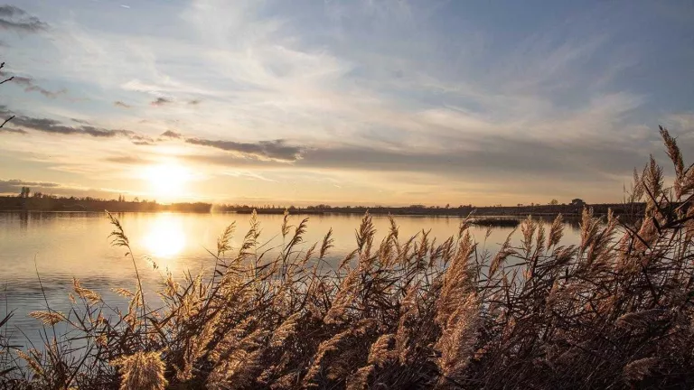 Plantació d'arbres i anàlisi d'aigua a l'Estany d'Ivars i Vila-sana