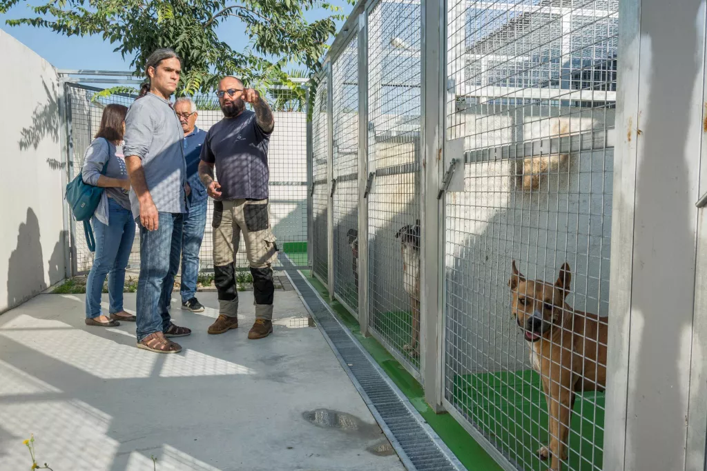 La Paeria incorporarà un dinamitzador a la canera