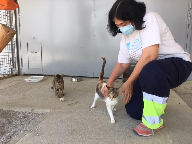 El Centre d’Acollida d’Animals de Lleida reprèn les adopcions