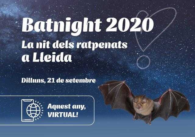 Lleida se suma a la Nit dels Ratpenats que, enguany, serà virtual
