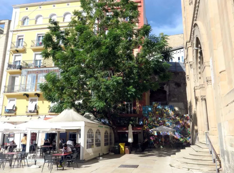 Adéu a un arbre de més de 50 anys a la plaça Sant Joan per seguretat