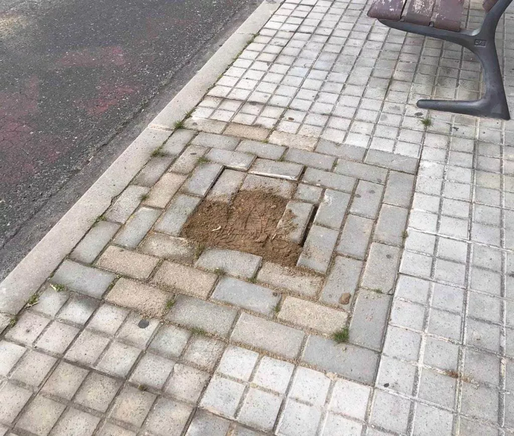 La Paeria de Lleida posa a punt 200 escocells per a plantar-hi arbres