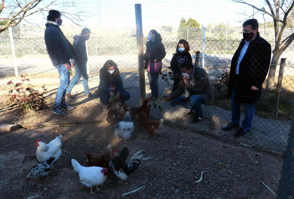 Engranja’t, la proposta per viure una experiència agrocultural a l’Horta