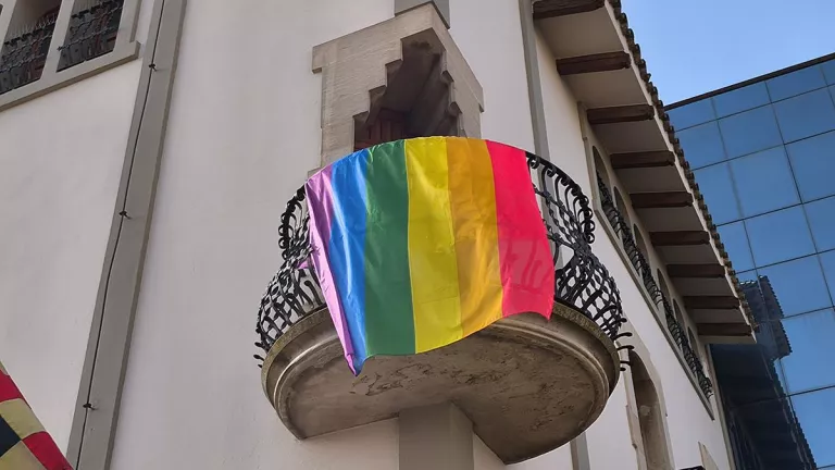 El Consell del Pla vol promoure un Pla LGBTI+ per la comarca