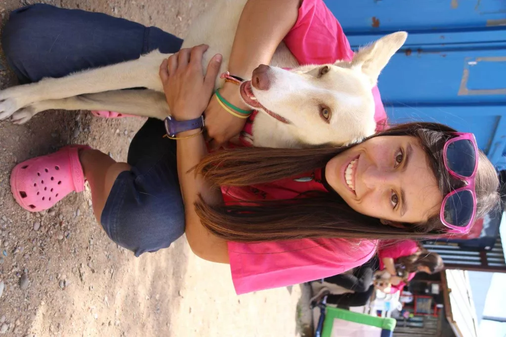 Protectores d'animals: convertir una condemna en voluntariat