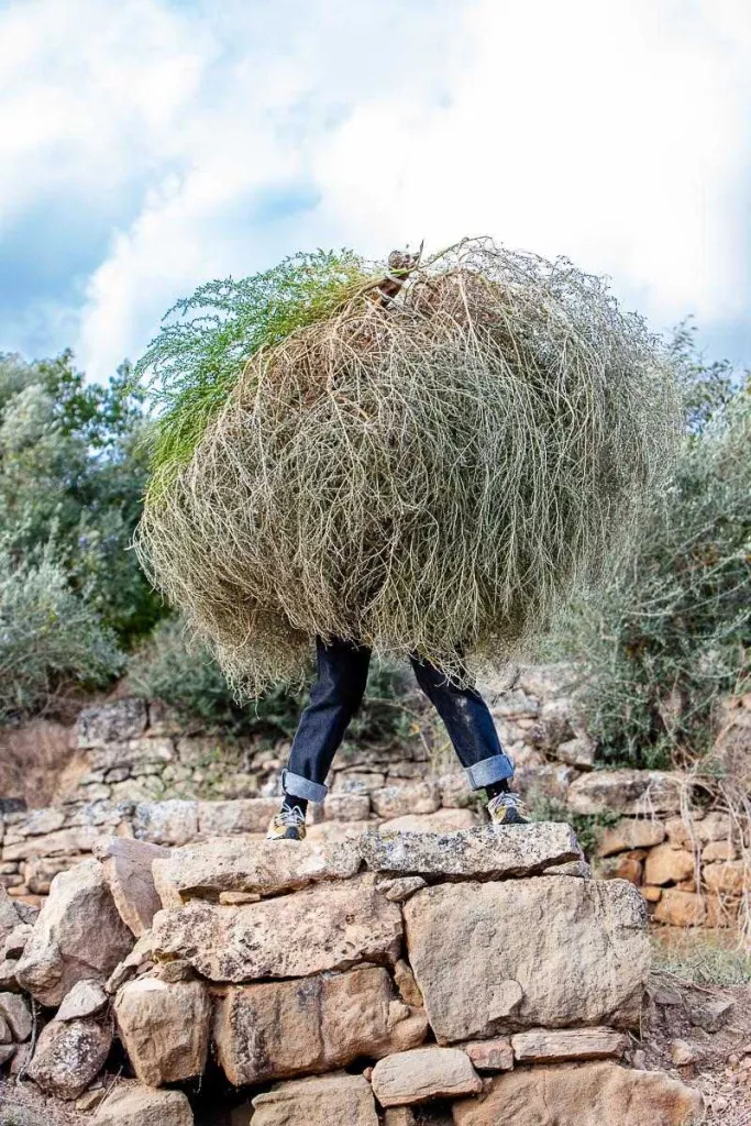 La dansa, la natura i les arts plàstiques, l'essència del festival NATURES