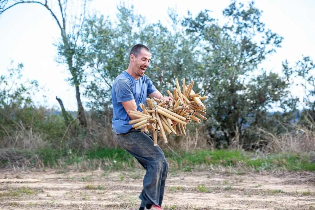 La dansa, la natura i les arts plàstiques, l'essència del festival NATURES