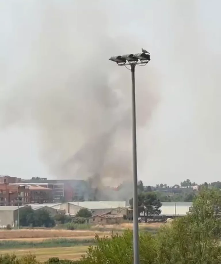 Un incendi de vegetació afectaria uns 1.000 metres quadrats de matolls a Balàfia